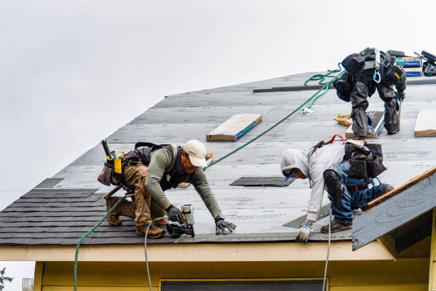 Professional Storm Damage Roof Repair technician working in Mooreville, MS